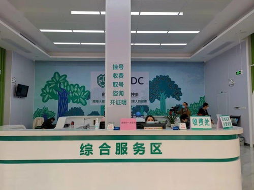 大瀝預防保健門診正式揭牌 夯實基層健康防線，推動全鎮基本公共衛生服務再上新臺階