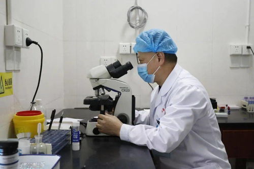 淥口區人民醫院二門診 優質診所服務，守護居民健康